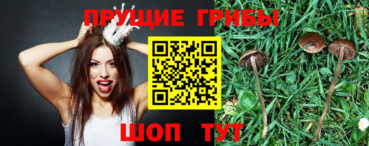 Гулькевичи  Галлюциногенные грибы мицелий  Вход с VPN 