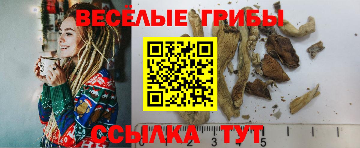 Галлюциногенные грибы GOLDEN TEACHER Гулькевичи